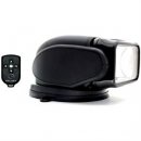 GoLight GoBee-2121